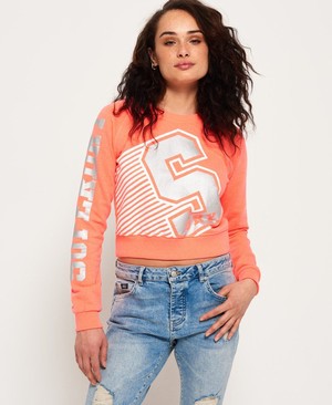 Superdry Big S Crew Neck Női Pulóver Korall | XAMNW4573